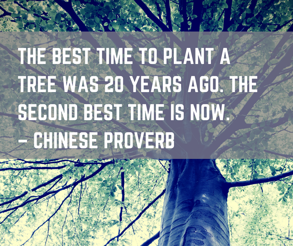 5 reasons to start content marketing before your product launch - chinese proverb tree planting