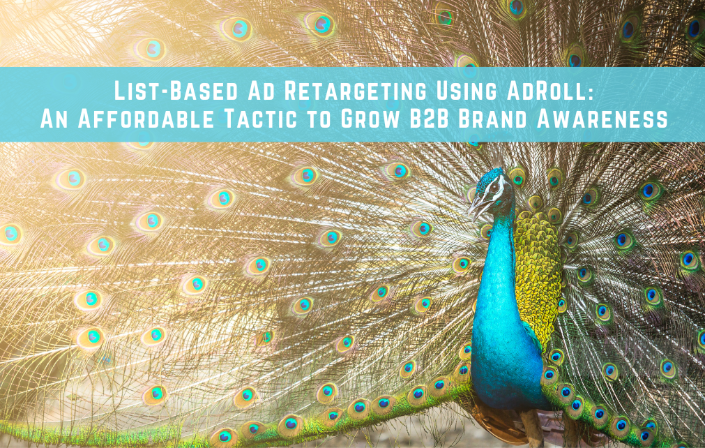 List-Based Ad Retargeting Using AdRoll An Affordable Tactic to Grow B2B Brand Awareness