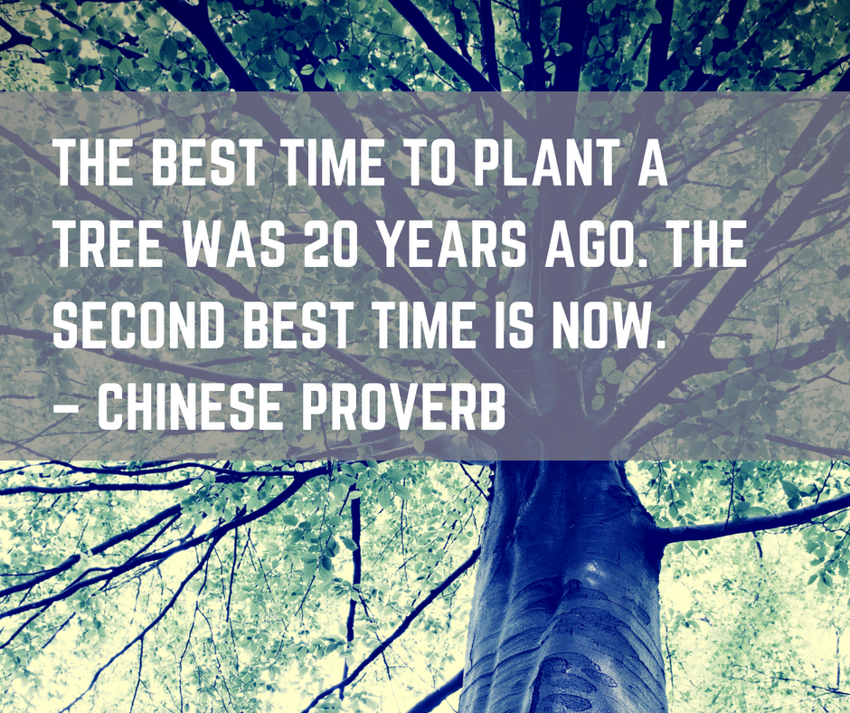 chinese proverb